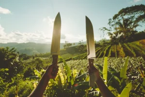 Machetes Plegables vs Fijos ¿Que es Mejor para la Agricultura